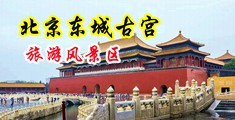 破处操逼的视频中国北京-东城古宫旅游风景区